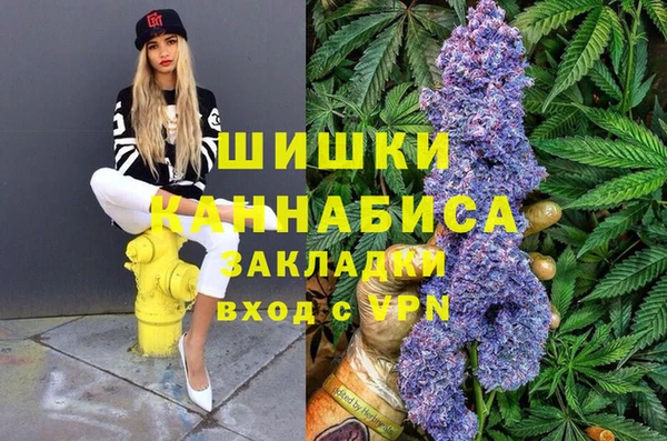 прущие крисы Белокуриха