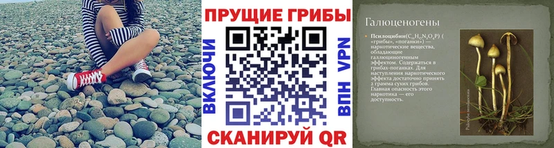 Галлюциногенные грибы мицелий  Пятигорск 